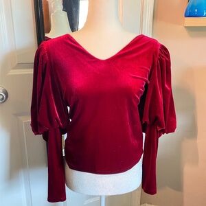 Anthropologie L Puff Sleeve Velvet Top
